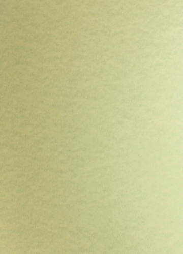 Parchment Card  175gsm  Green Bulk Buy